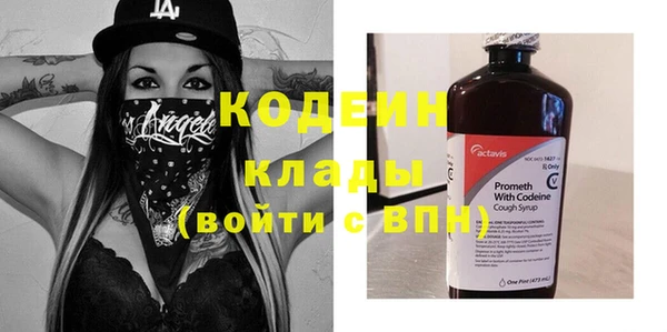таблы Гусев