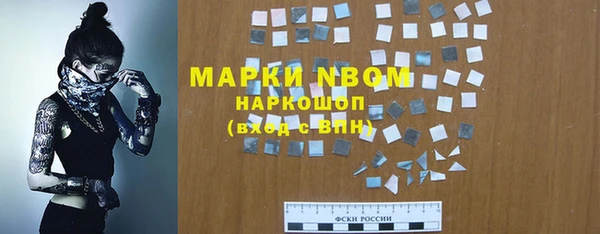 таблы Гусев