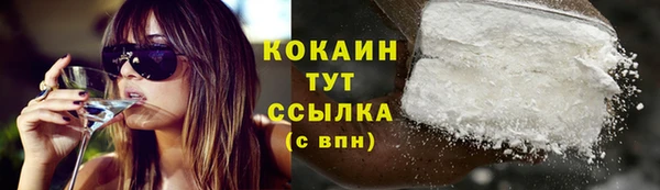 таблы Гусев