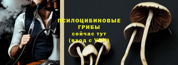таблы Гусев