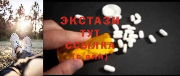 таблы Гусев
