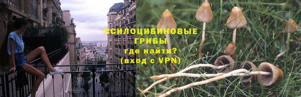 таблы Гусев