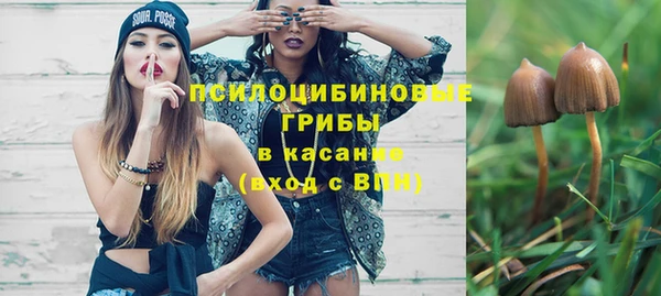 герыч Гусь-Хрустальный