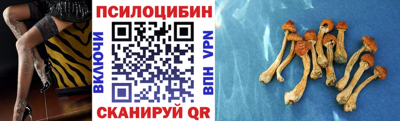 Псилоцибиновые грибы Psilocybine cubensis  Купить закладки  Барыш 